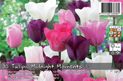 Tulipan mix Midnight Moments 30 løg