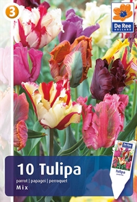 Tulipan Parrot Mix 10 løg
